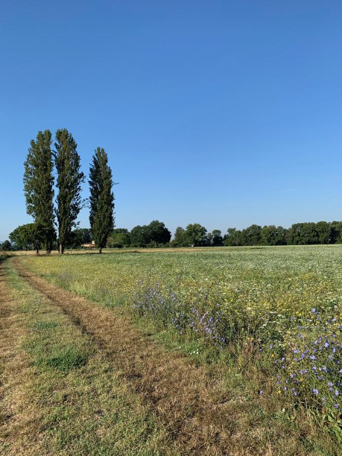 Agriturismo La Palazzetta Di أسيسي المظهر الخارجي الصورة