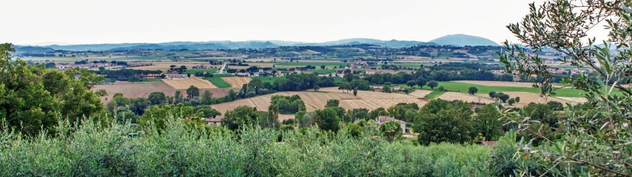 Agriturismo La Palazzetta Di أسيسي المظهر الخارجي الصورة